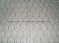 Quick delivery hexagonal wire mesh 2