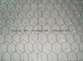 Quick delivery hexagonal wire mesh 2