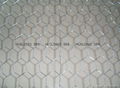 Quick delivery hexagonal wire mesh