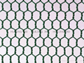 Quick delivery hexagonal wire mesh 3