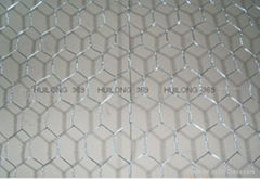 hexagonal wire mesh From tianjin port