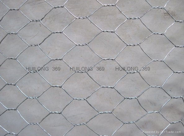 hexagonal wire mesh From tianjin port 2