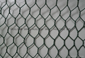 Hot selling hexagonal wire mesh 3