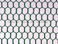 Hot selling hexagonal wire mesh 6
