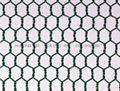 Hot selling hexagonal wire mesh