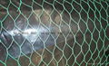 Best price hexagonal wire mesh 4