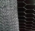 No.1 choice hexagonal wire mesh 3