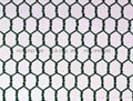 Manufacture hexagonal wire mesh 2