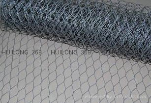 Famous brand hexagonal wire mesh  2