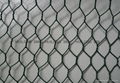 Well-know hexagonal wire mesh
