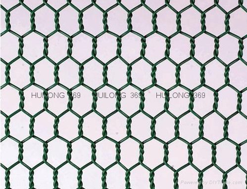 Well-know hexagonal wire mesh 2
