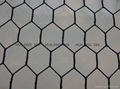 Well-know hexagonal wire mesh 4