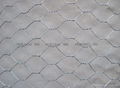 Good product hexagonal wire mesh