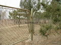 gardens fencing BW-11