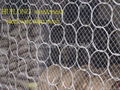 Steel Wire Ring Nets SW-08 1