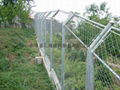 Security fencing for zoo BW-07