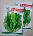 翠玉276苗用豌豆種子