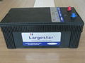 Storage Automobile Battery