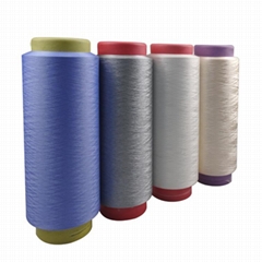 75D Nano Zinc Oxide Antibacterial Absorption Polyester Yarn