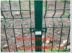 Wire Mesh Fence, wire fence, fencing wire mesh(6#-14#)