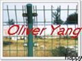 Double Wire Fence(6#-10#) 2