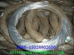 Galvanized Iron Wire(8#-38#)