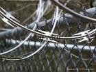 Wire Mesh Fence, wire fence, fencing wire mesh(6#-14#) 4