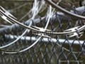 Wire Mesh Fence, wire fence, fencing wire mesh(6#-14#) 4