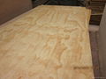 plywood 4