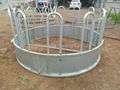 Cattle Hay Feeder 2