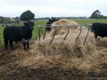 Cattle Hay Feeder 3