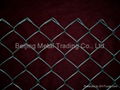 Chain link fence 2