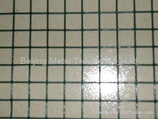 Welded Wire Mesh 3