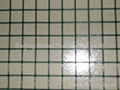 Welded Wire Mesh 3