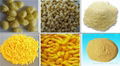 （糯米、荞麦、黑米、燕麦，五谷杂粮）营养粉加工设备