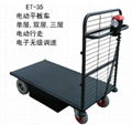 Electric Cart 1