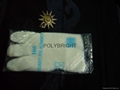 Disposable LDPE and HDPE and CPE  glove