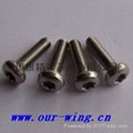 DIN7985梅花槽螺絲釘