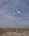 wind turbine 1000W 3