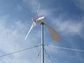 wind turbine 300W 1