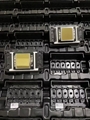 Epson XP600(F1080-A1) print head 4