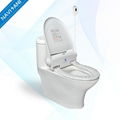 Hygienic Automatic Intelligent Toilet Seat Smart Sanitary Toilet Cover