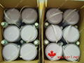 pad printing silicone rubber 4