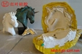 molding silicon  rubber