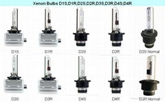 Xenon HID bulb Dseries 