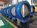 Soft sealing butterfly valve, rubber sealing butterfly valve 5