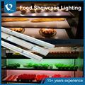 LED Freezer light  1