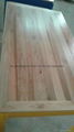 南美金絲胡桃木乾燥板材 5