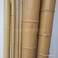仿竹杆，青竹杆，綠竹杆，黃竹杆，竹節管，仿真竹 4