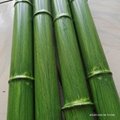 仿竹杆，青竹杆，綠竹杆，黃竹杆，竹節管，仿真竹 5